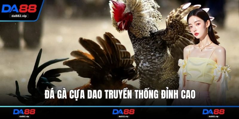 Đá gà cựa dao truyền thống đỉnh cao